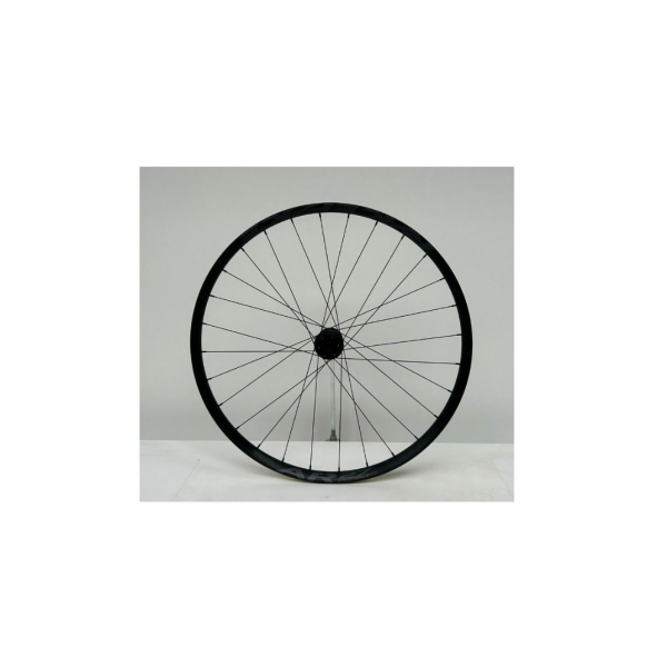 DT 370 15x110 6B 28h / RaceFace AR 30 / 29" (46-24474)