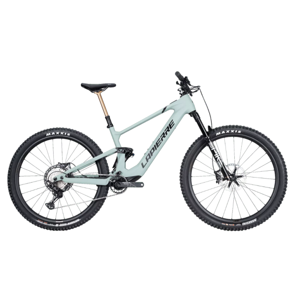eZesty AM LTD/ Größe XL / Testbike