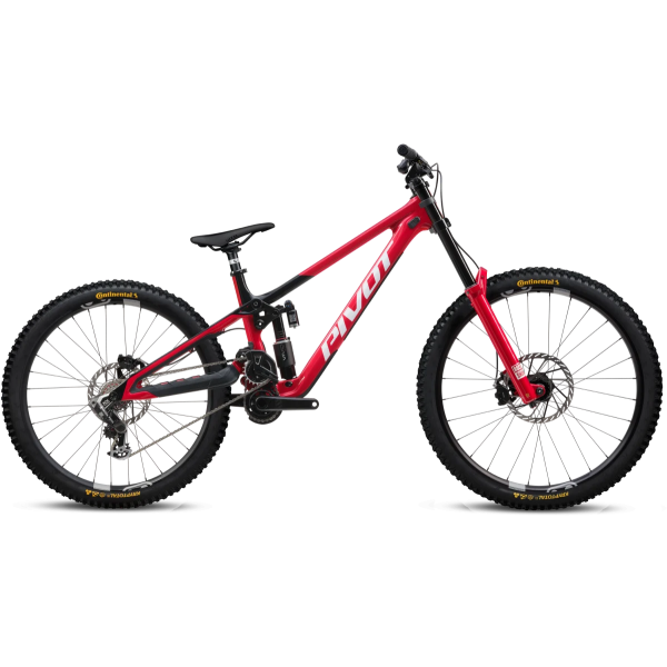 Phoenix Team XX Special Edition