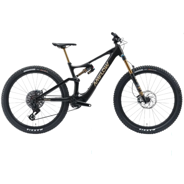 PL Carbon Pro (600Wh)