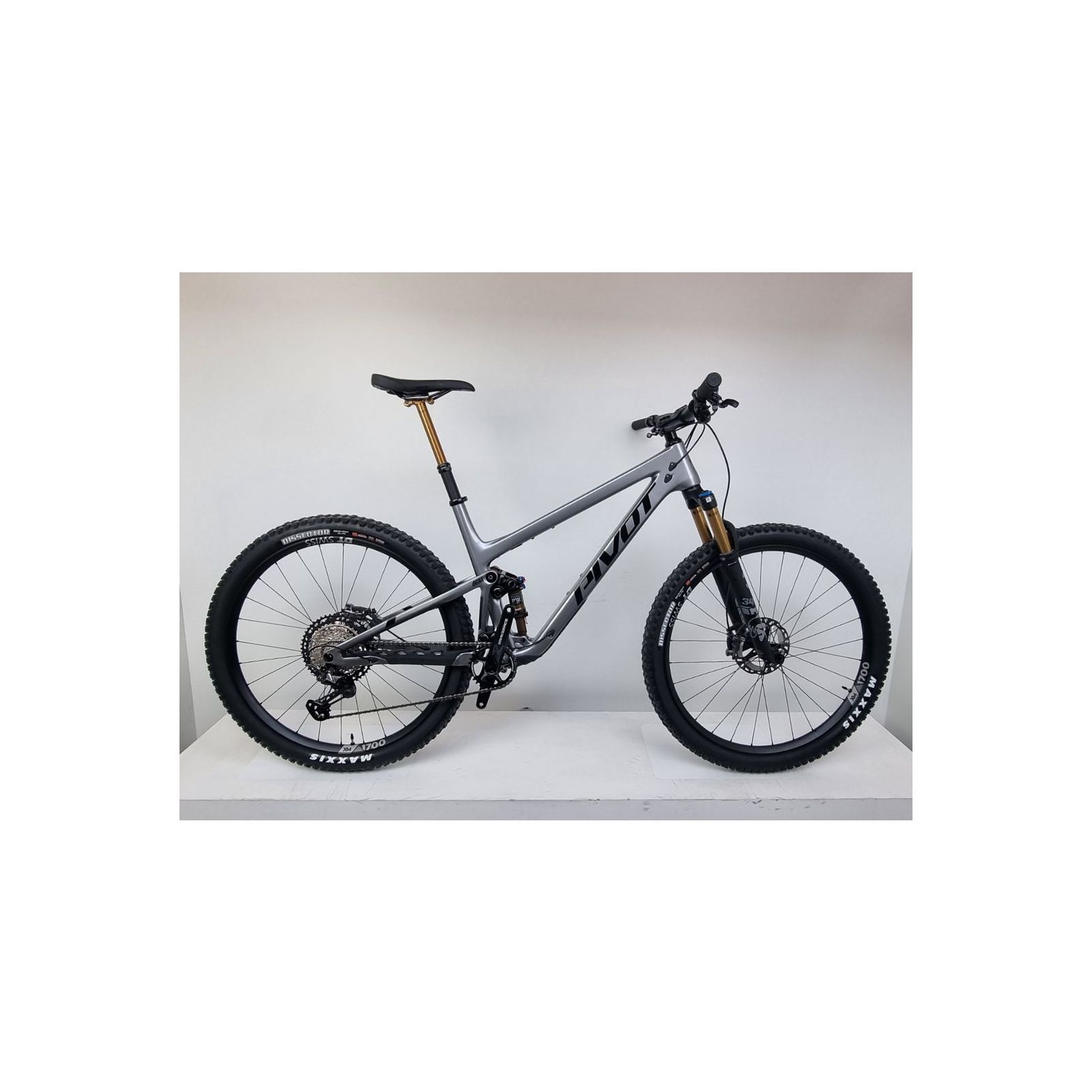 Trail 429 Pro XT/XTR Größe XL silber Testbike #304