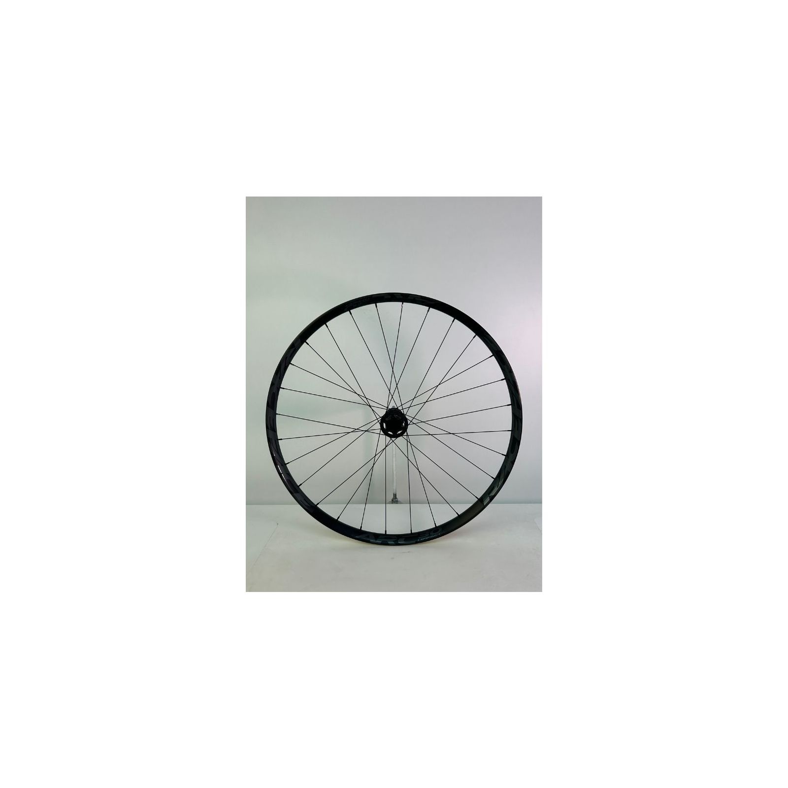 DT 350 110 6B 28h/RaceFace ARCo 30 / 29" (46-22784)