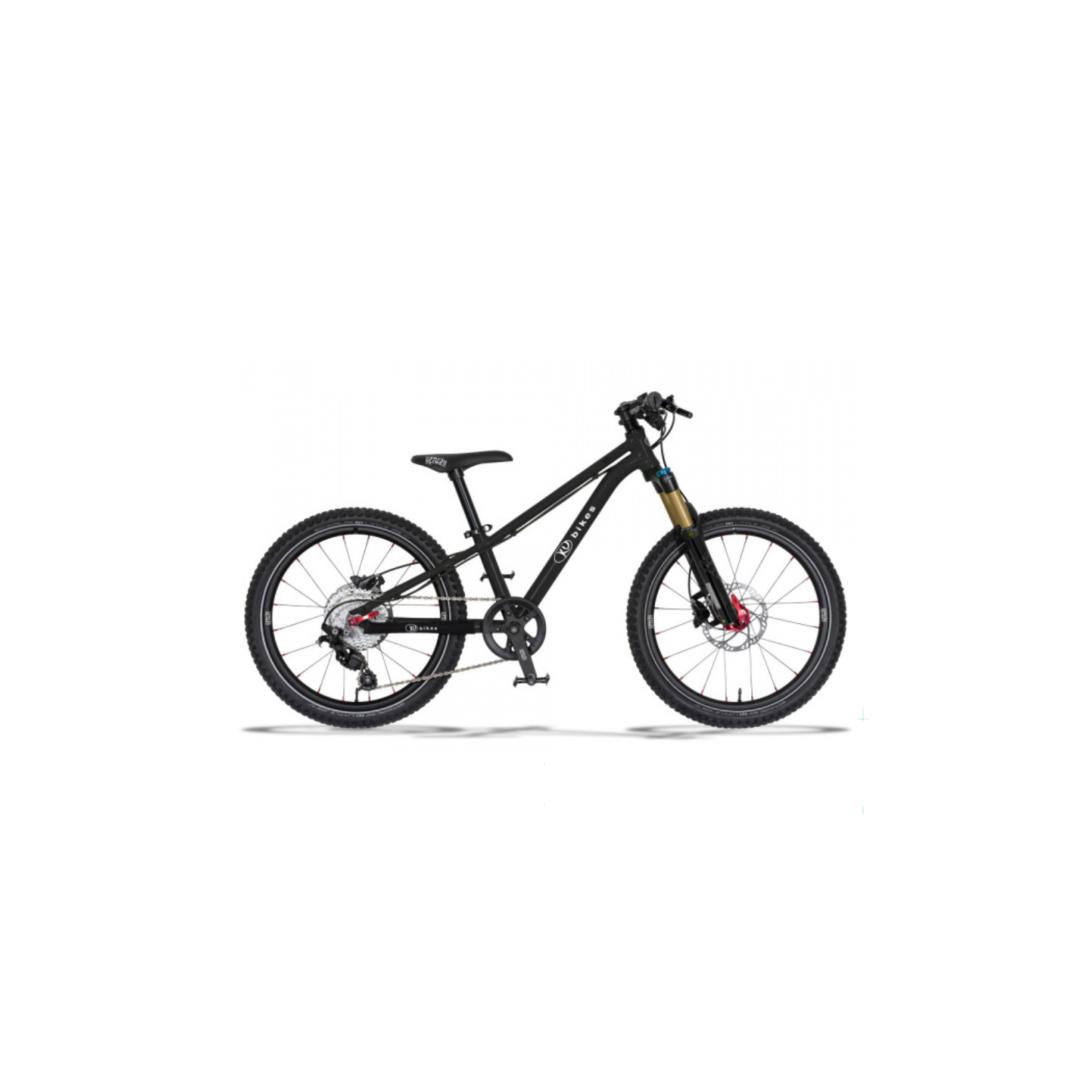 20S Trail
