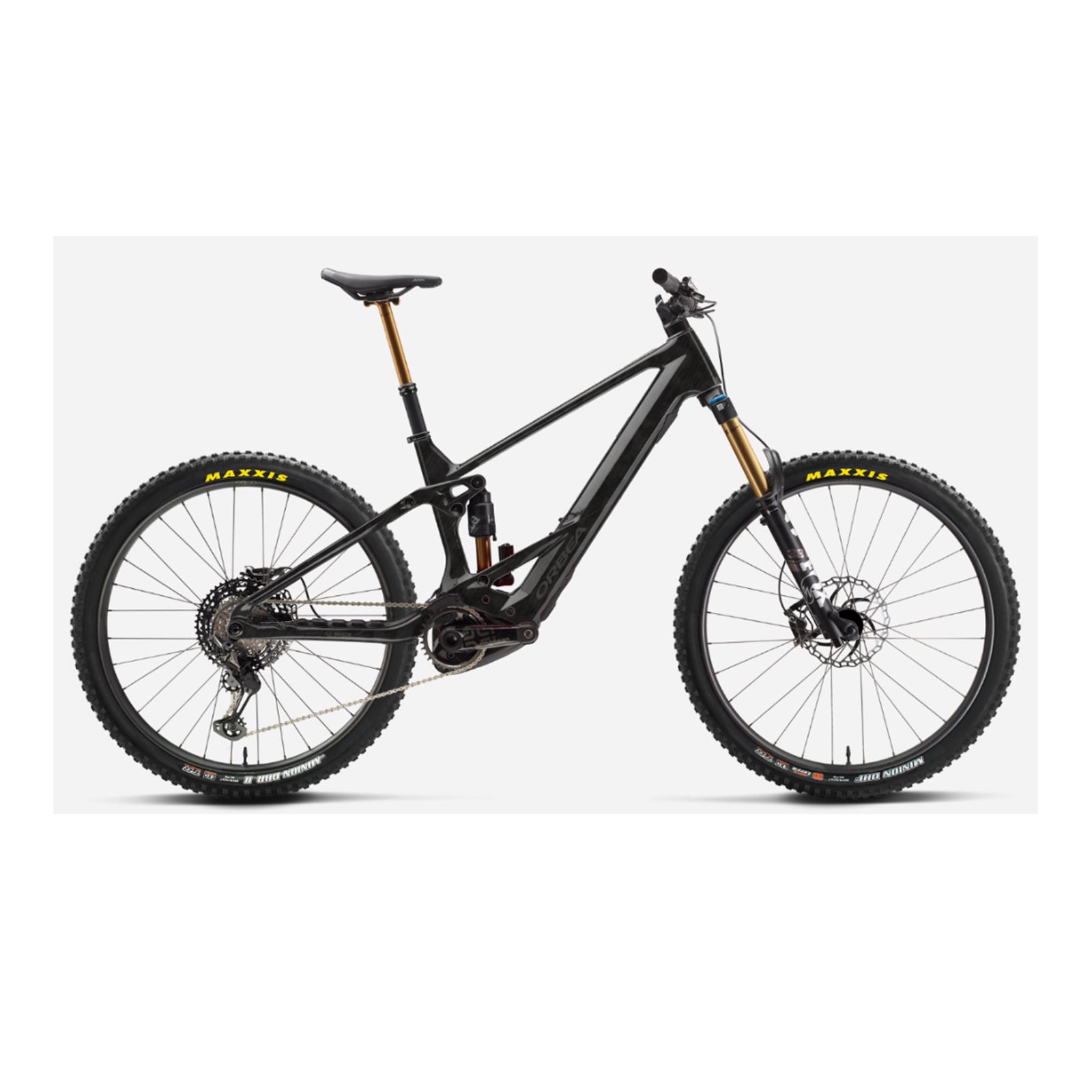 Wild M-LTD Custom